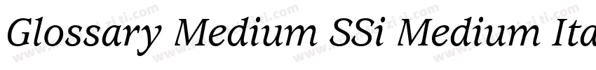 Glossary Medium SSi Medium Italic字体转换